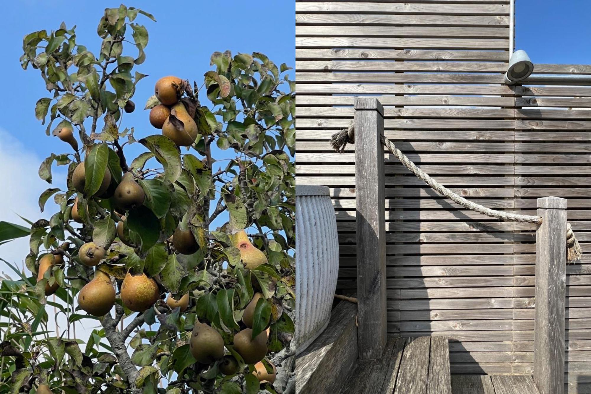 Kinara In Camber Villa Exterior photo